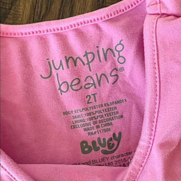 Bluey Halloween Tulle tutu Dress - Picture 2 of 3